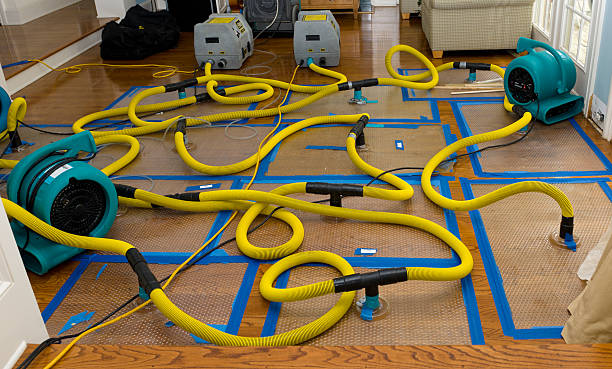 Professional Basement Flood Cleanup technician working in Moscow, OH