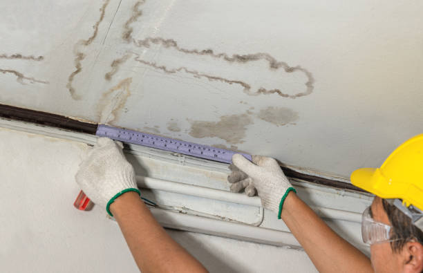 Affordable Water Damage Repair solutions in Moscow, OH